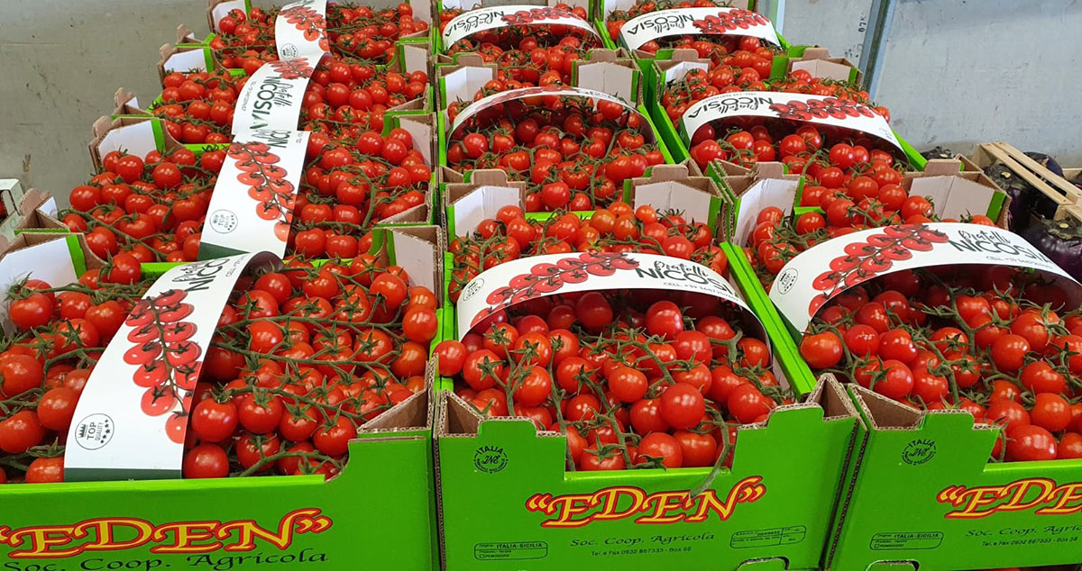 Pomodoro ciliegino - 1,50 euro al chilogrammo